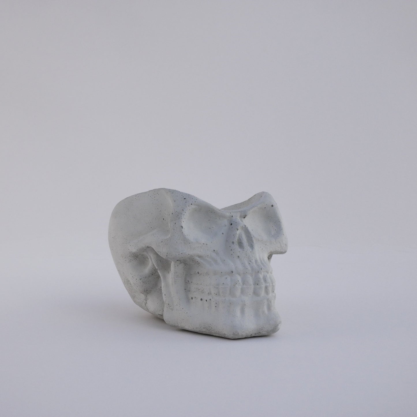 Contemporary Skull Planter