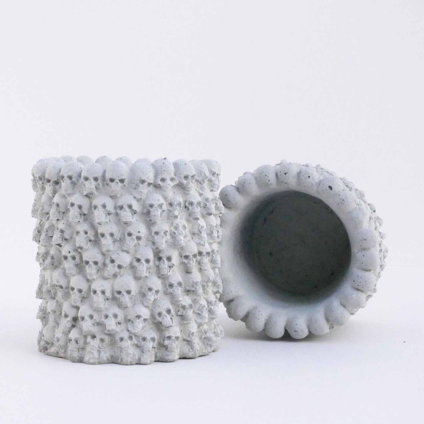 Memento Vivere - Gothic Concrete Skull Succulent Pot