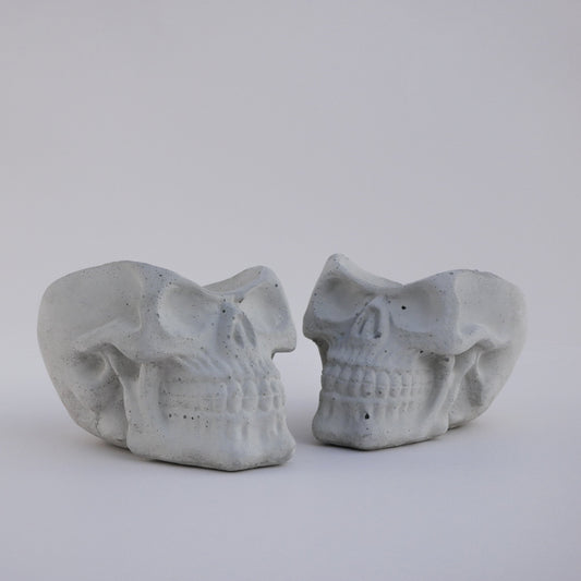 Contemporary Skull Planter