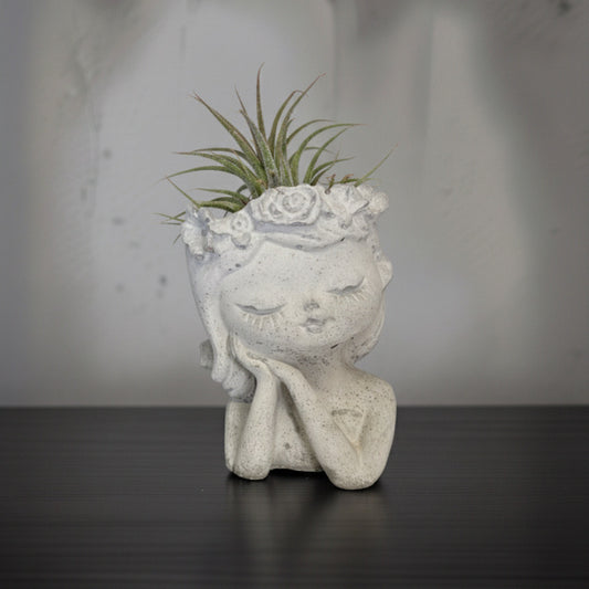 The Blossom Dreamer: Handmade Decorative Moss/Air Plant Holder by Deterra London