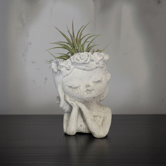 The Blossom Dreamer: Handmade Decorative Moss/Air Plant Holder by Deterra London