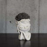 The Blossom Dreamer: Handmade Decorative Moss/Air Plant Holder by Deterra London