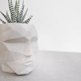 Geometric Tiki Face Planter