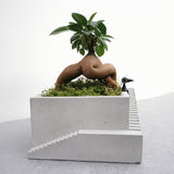 Bonsai Setup with Decorative Moss in Handmade Large Planter (Local Delivery Only)