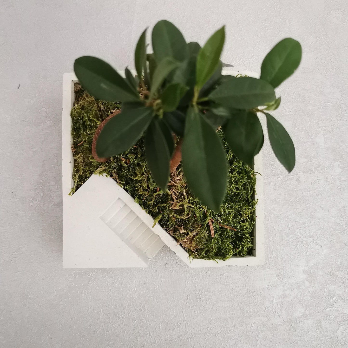 Stepped Architectural Planter No. 03