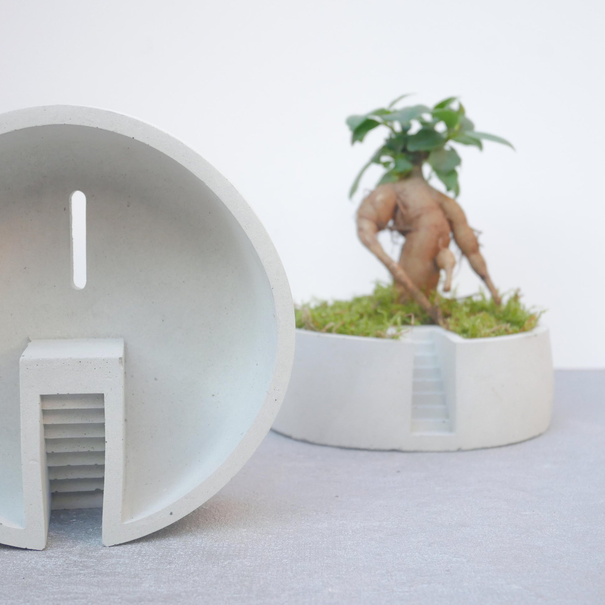 Concrete planter brutalist architecture landscape 