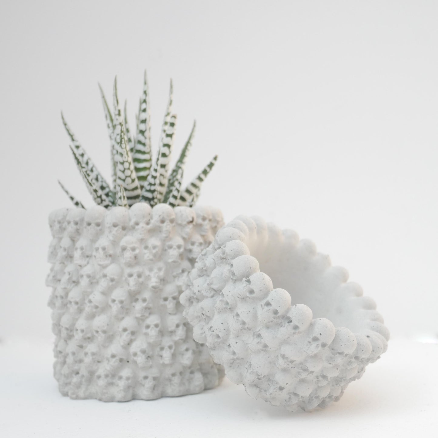 Memento Vivere - Gothic Concrete Skull Succulent Pot