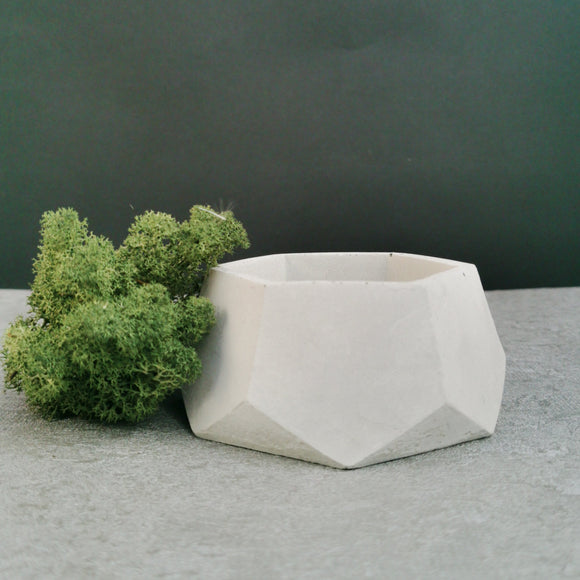 Geometric Hexagonal Small Planter