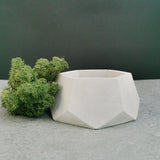 Geometric Hexagonal Small Planter