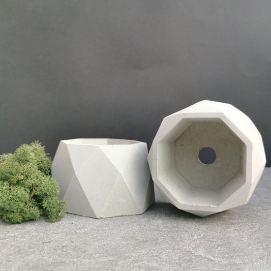 The Facet: Modern Geometric Concrete Cactus Pot