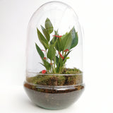 Flamingo Flower Dome Terrarium (Local Delivery Only)