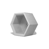 Hexagon Geometric Planter