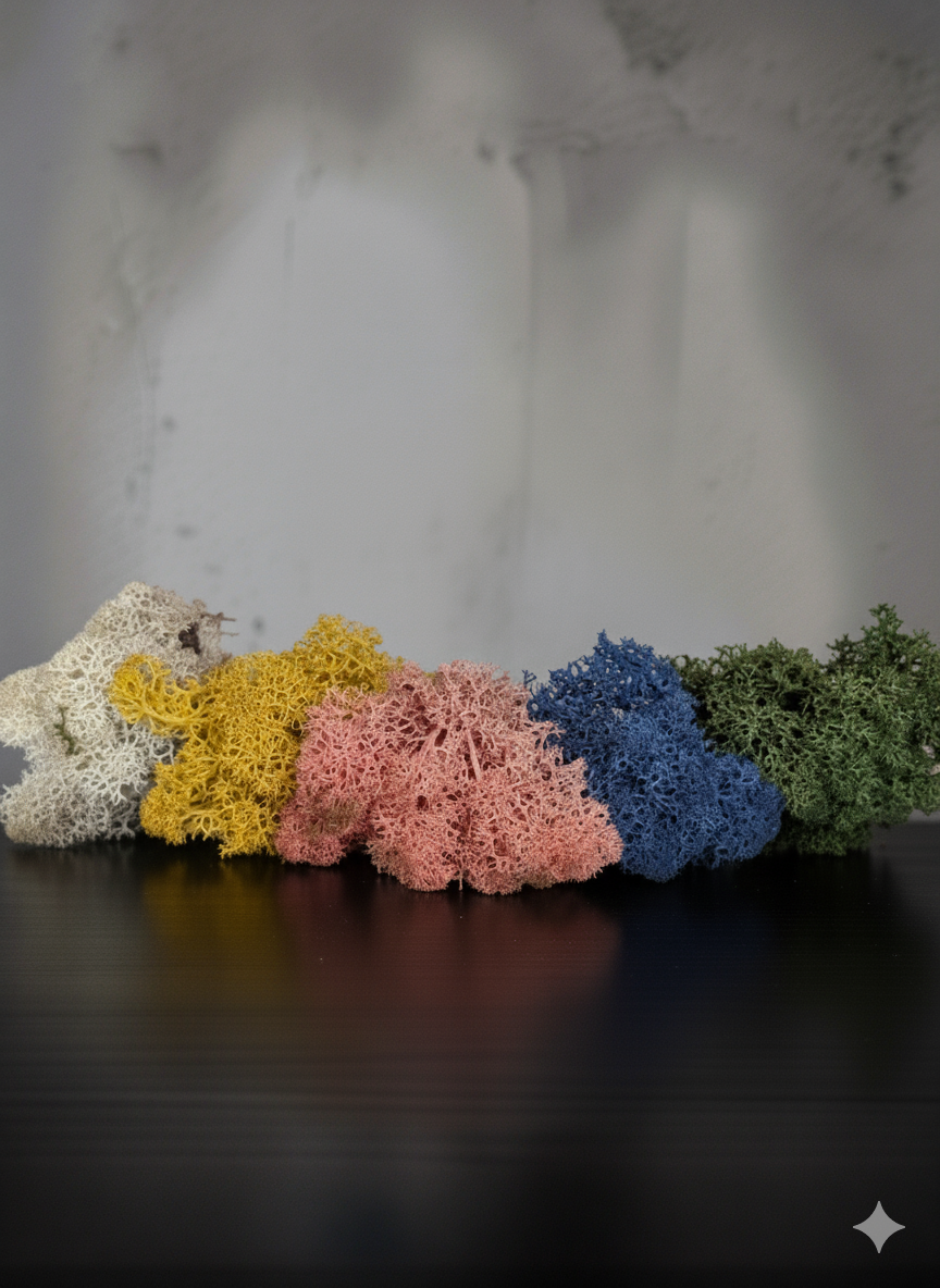 The Eternal Embrace: Concrete Airplant & Moss Display