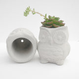 Owl Planter