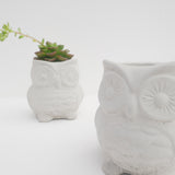 Owl Planter