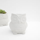 Owl Planter